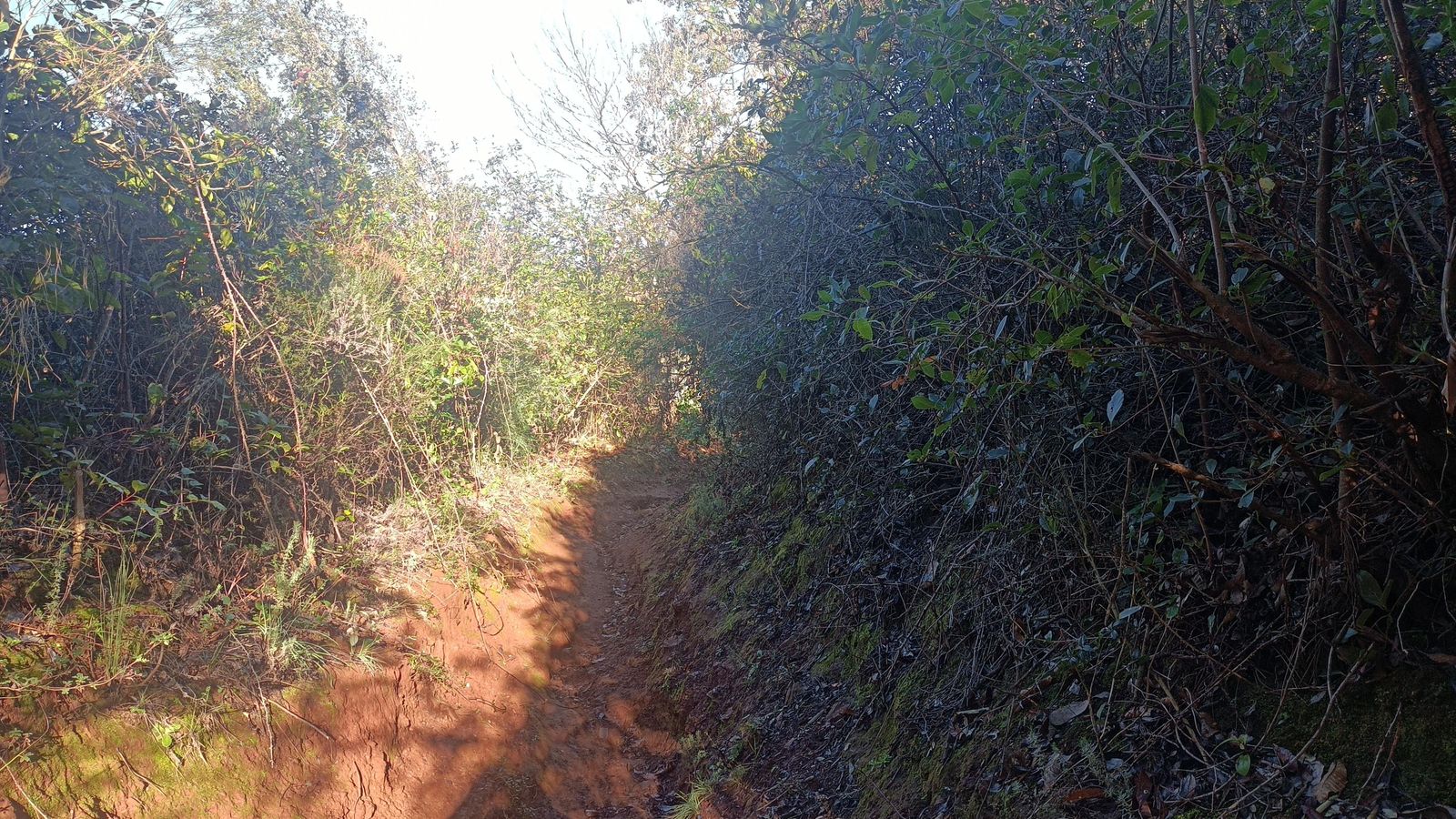 El descenso puede ser dificultoso en ocasiones.