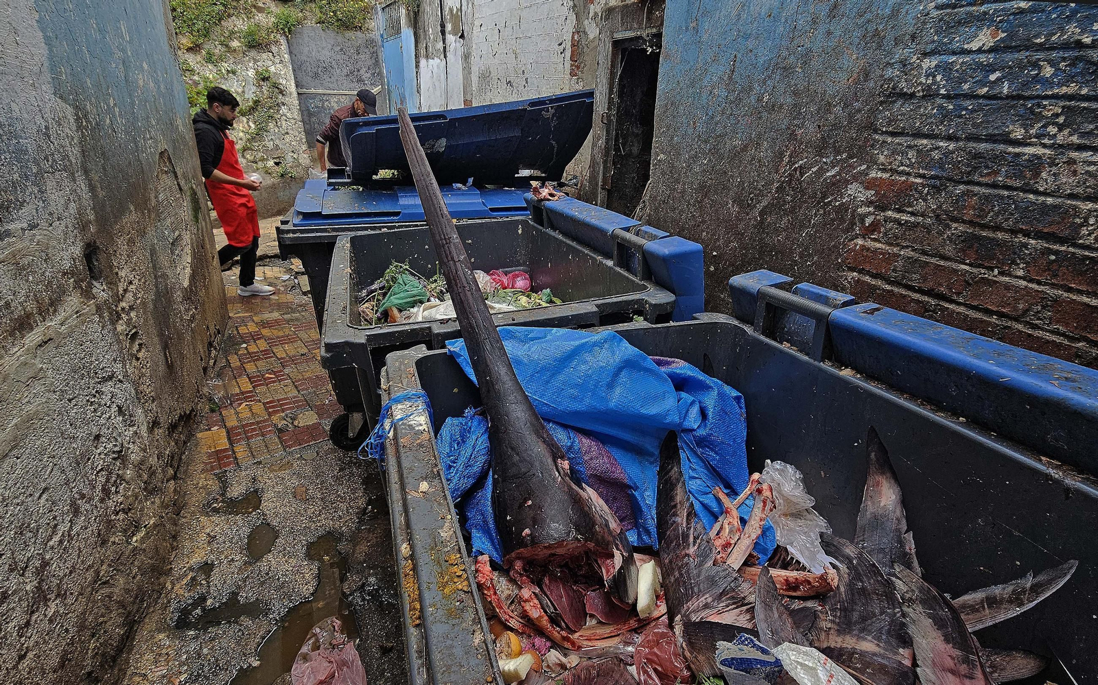 Un paseo por la ciudad de Tánger, en imágenes