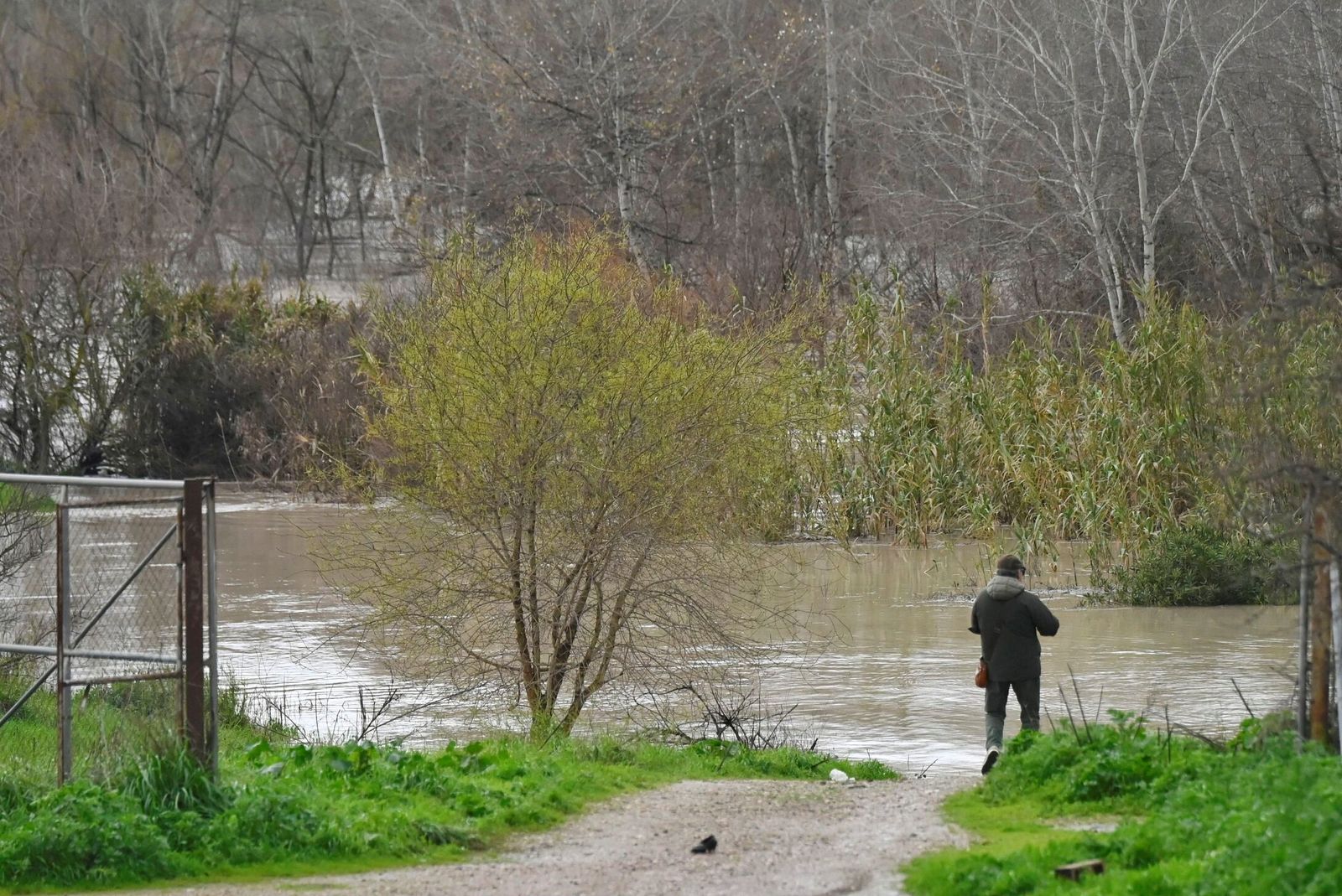 La impresionante crecida del río Guadalquivir: se acerca a los 6 metros a su paso por Córdoba