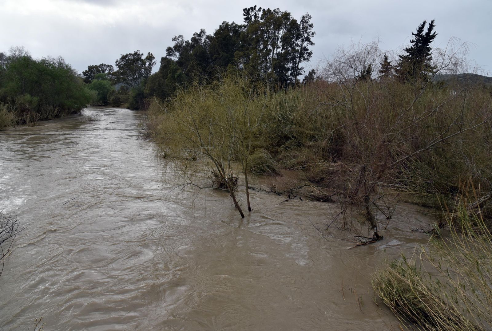 Los agricultores de Jimena pierden 6,5 millones por las lluvias