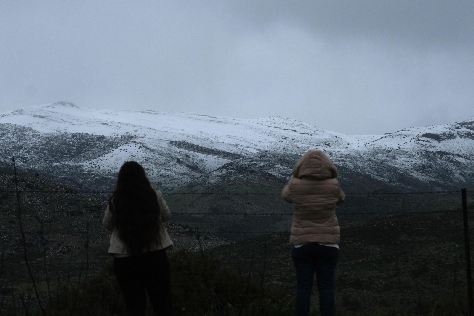 La nueva nevada  en el Parque Nacional Sierra de las Nieves, en fotos