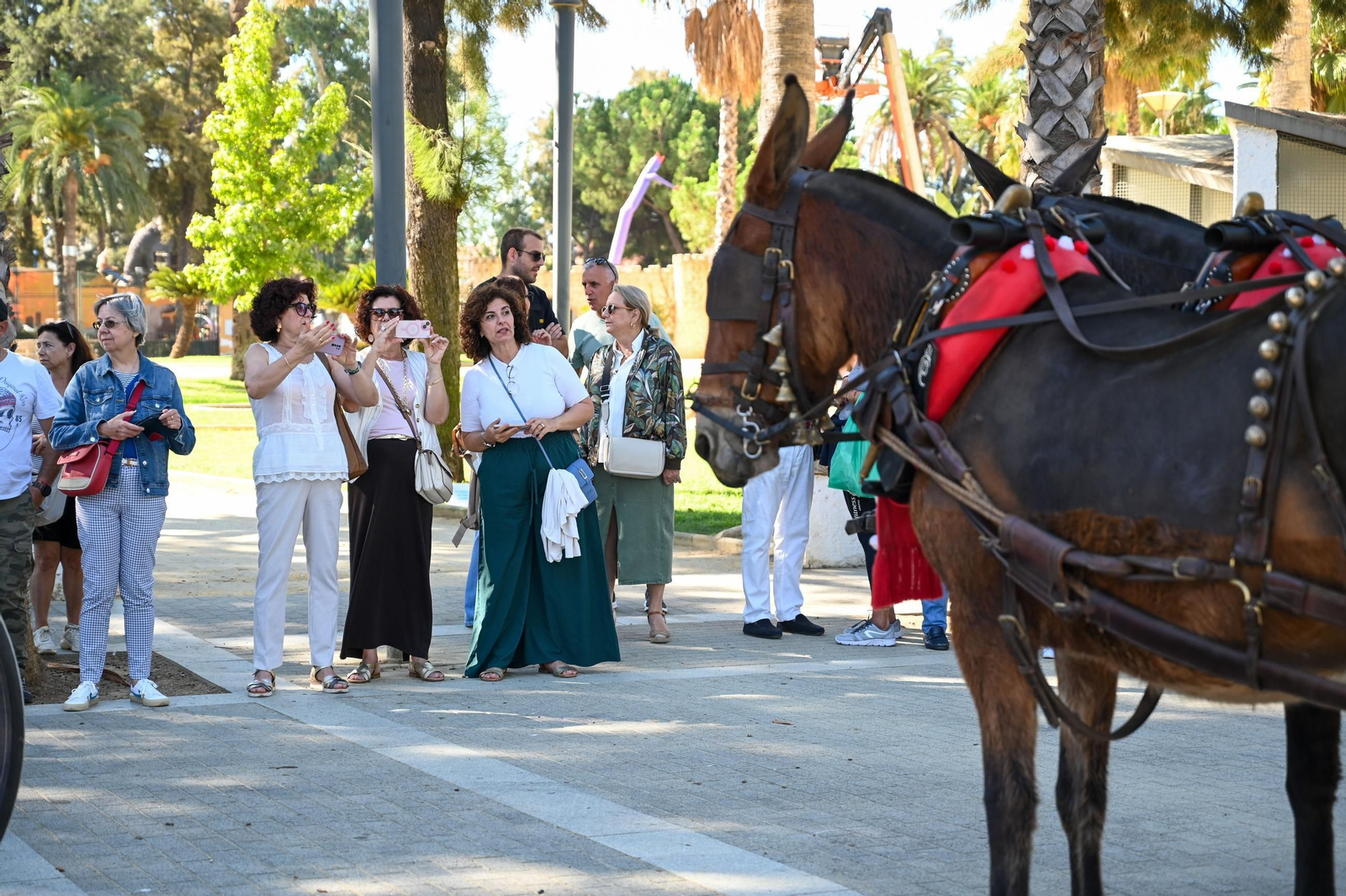 Imágenes del ambiente nocturno del 11 de octubre en la Feria del Caballo 2025