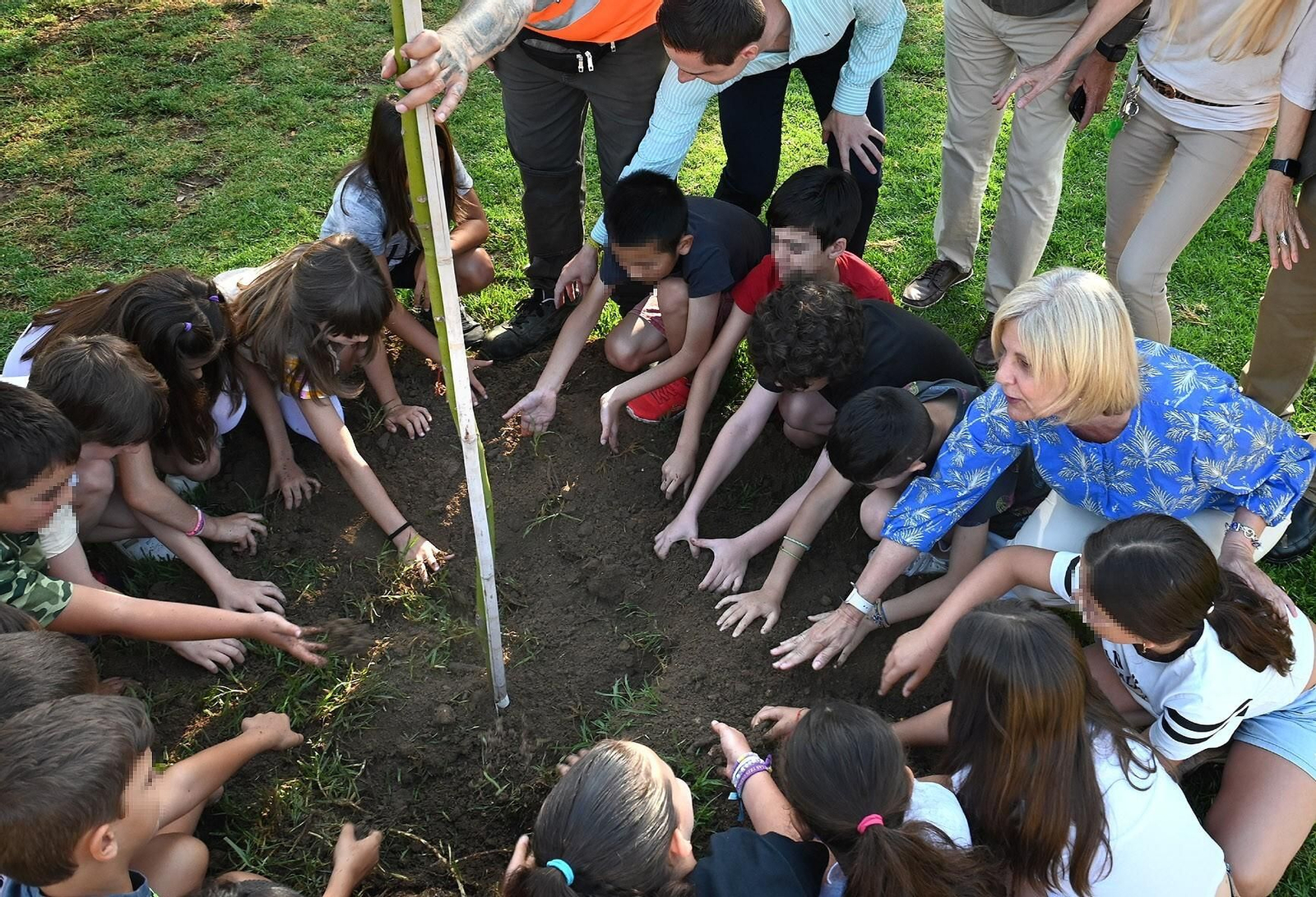 Alumnos del colegio El Retiro plantan el primer ‘alcanforero’ junto a su centro. Alumnos del colegio El Retiro plantan el primer ‘alcanforero’ junto a su centro.