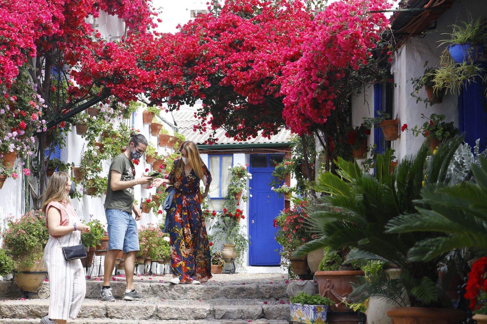 Fotografías: Sábado de colas y bulla en los Patios de Córdoba