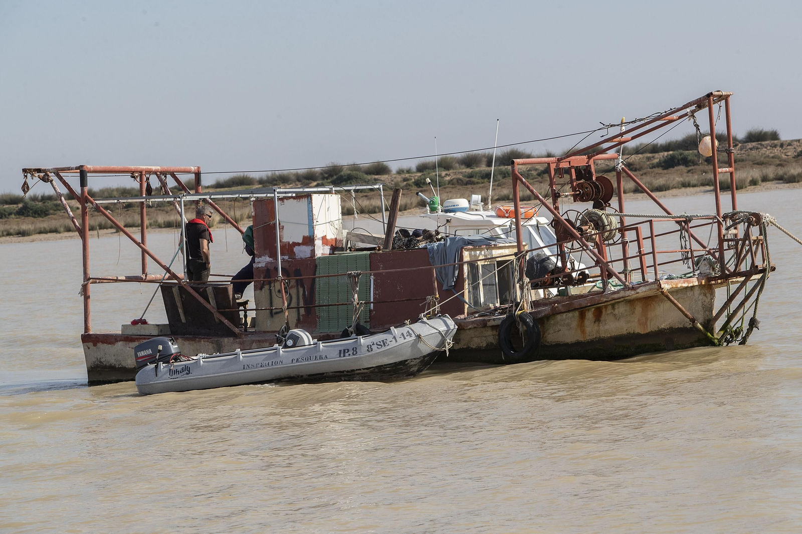 Operación Ave  fenix contra la pesca  de la angula