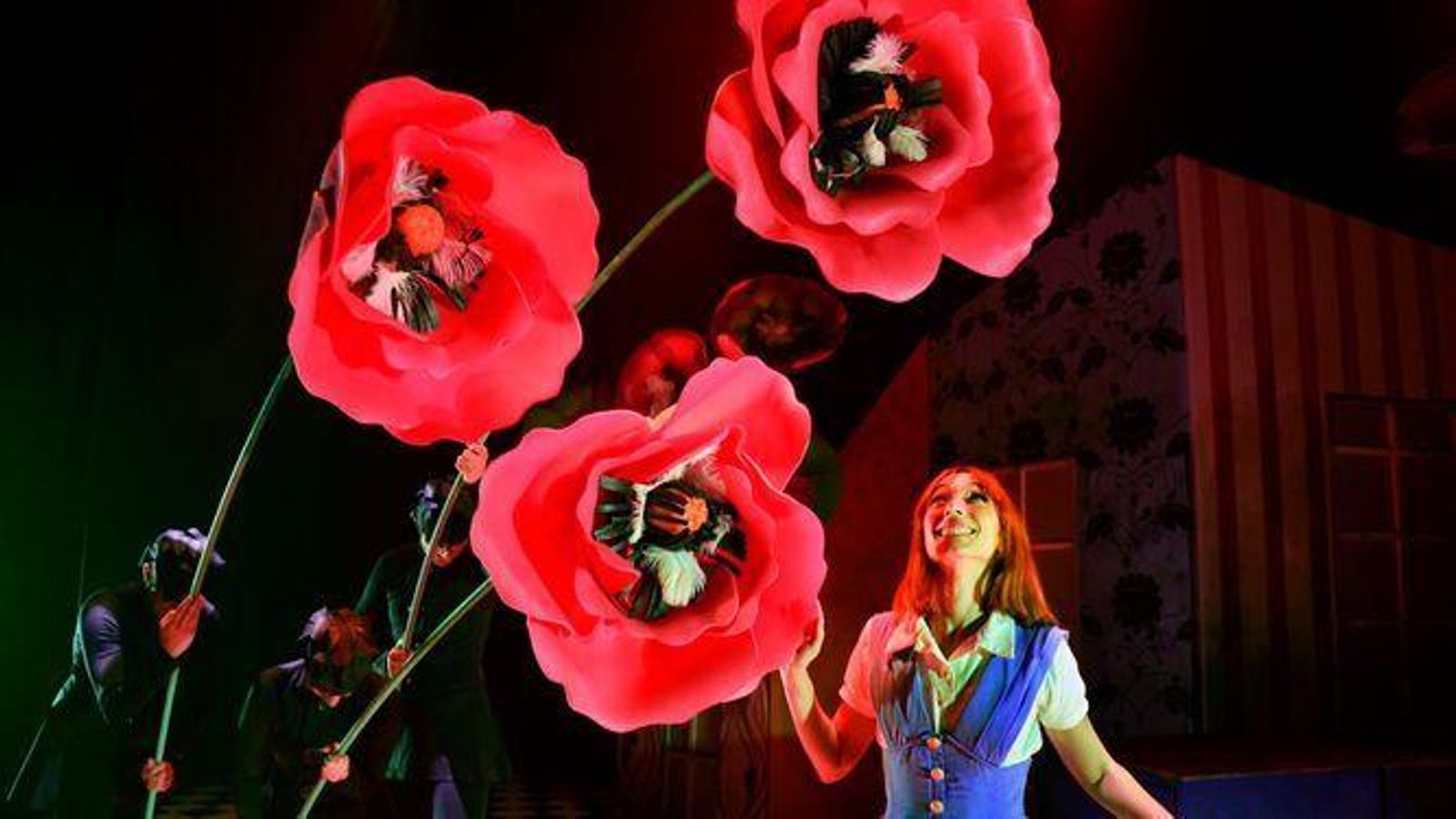 Alicia en el musical de las maravillas