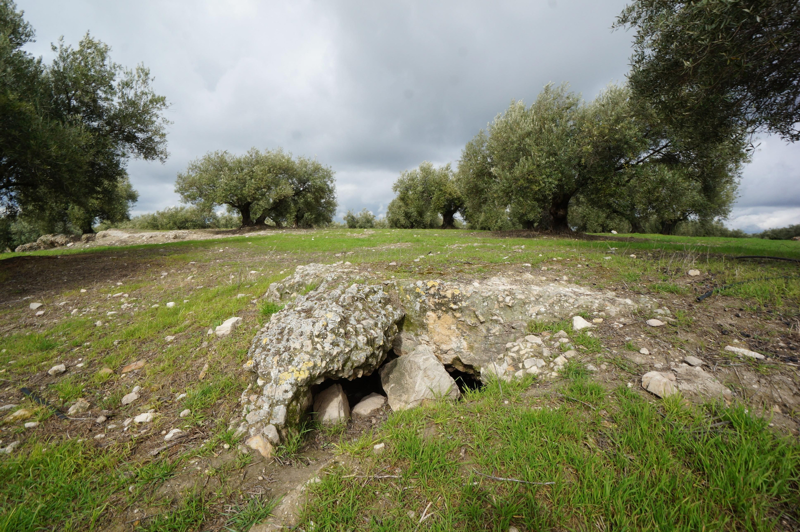 Los silos romanos del Carchena en Castro del Río, en fotografías