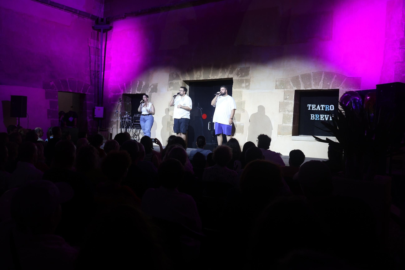 Una de las actuaciones en el Teatro Breve.