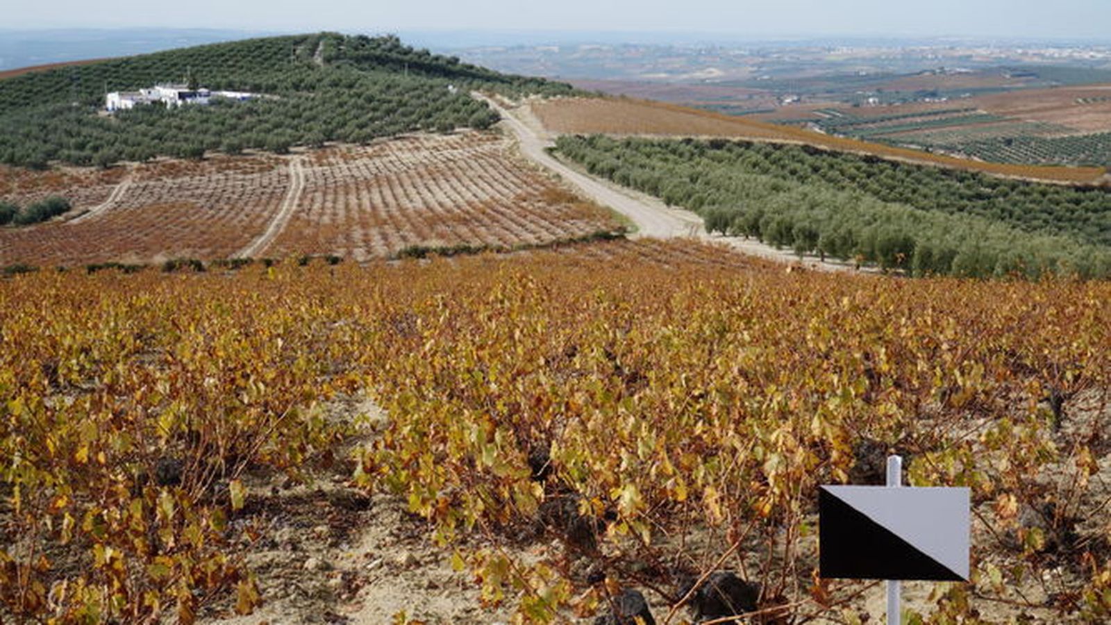 La Sierra de Montilla, en otoño.