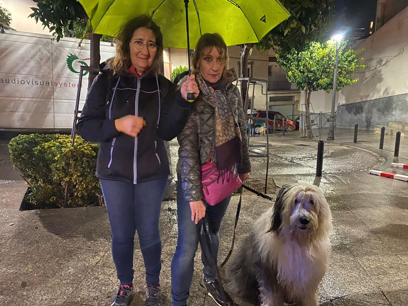 Lumbre de San Antón y bendición de los animales.