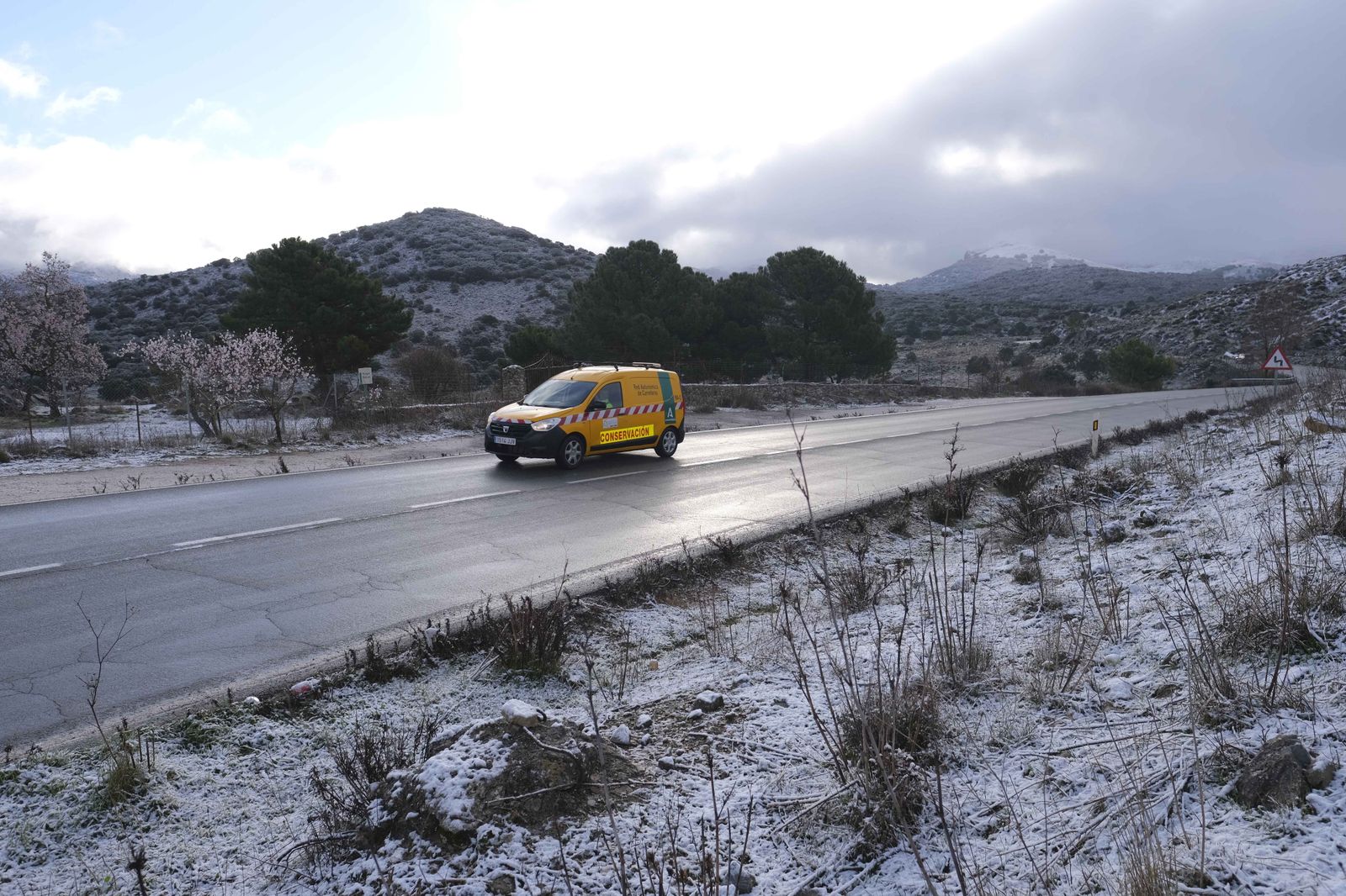 Nevada en la Serranía de Ronda, en fotos.