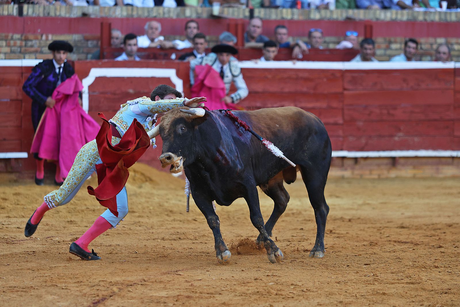 Toros La Merced 2024 Novillada con picadores(