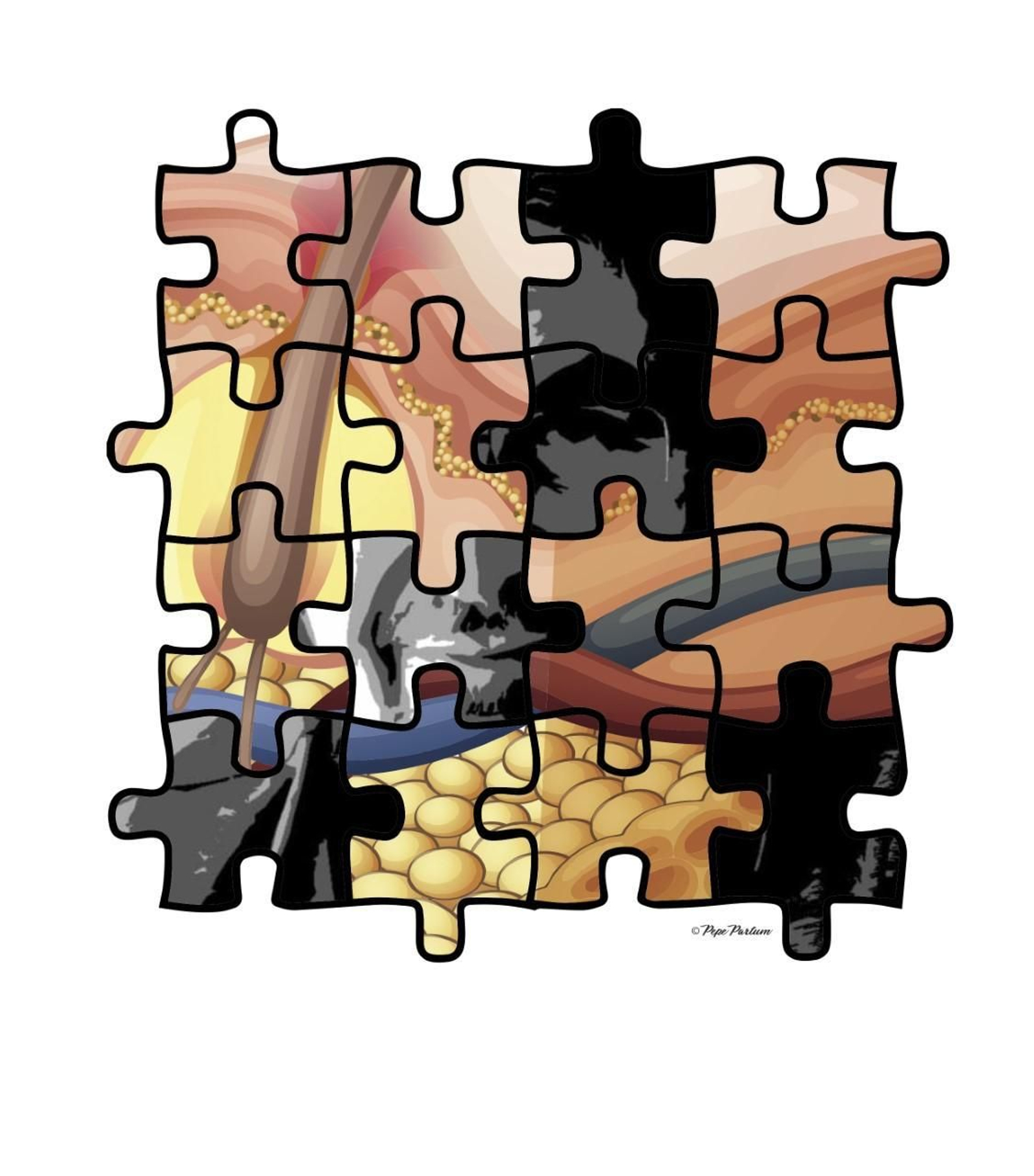 Homenaje al científico José Manuel Carbajo.