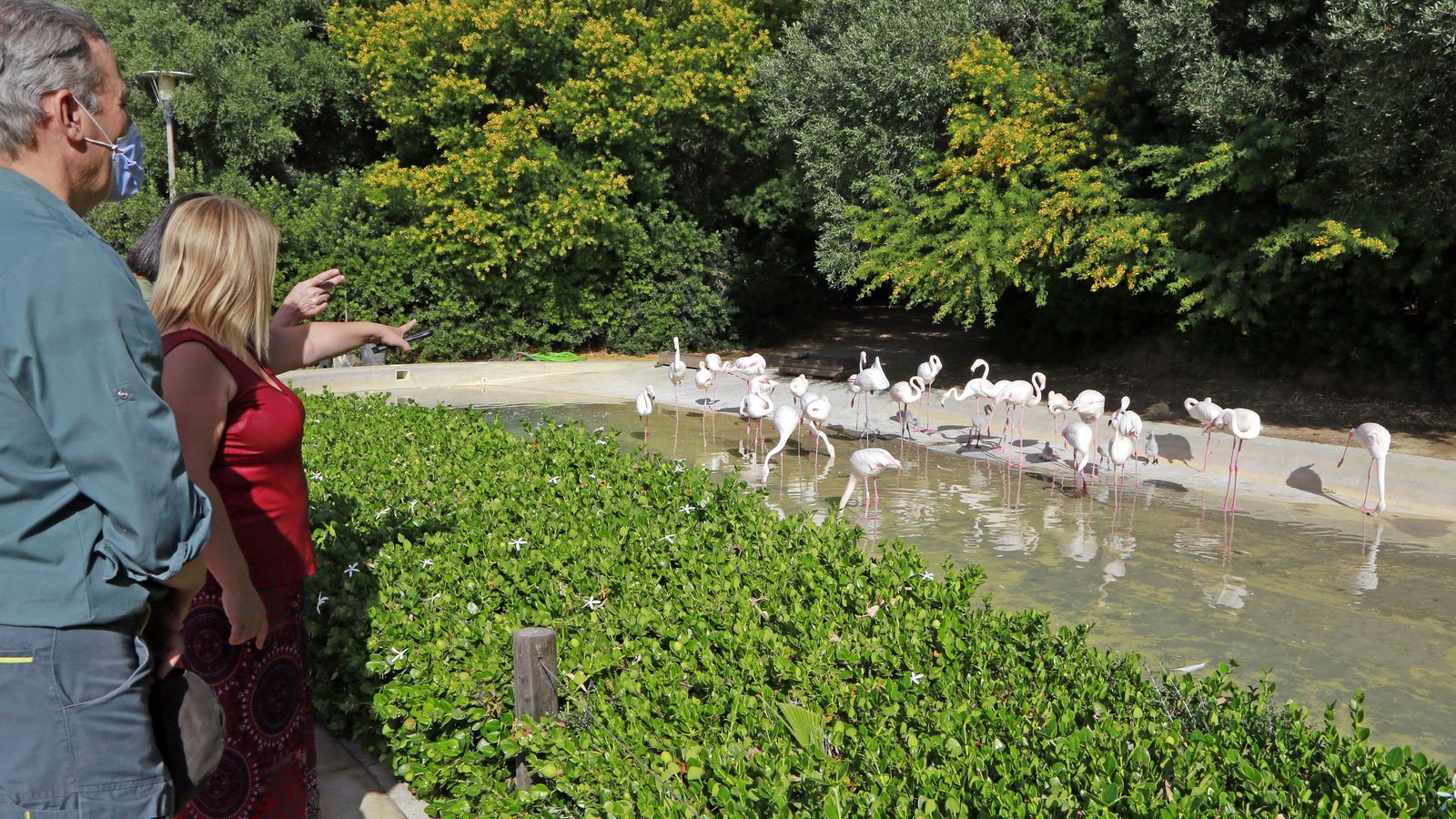 Reapertura del Zoo de Jerez