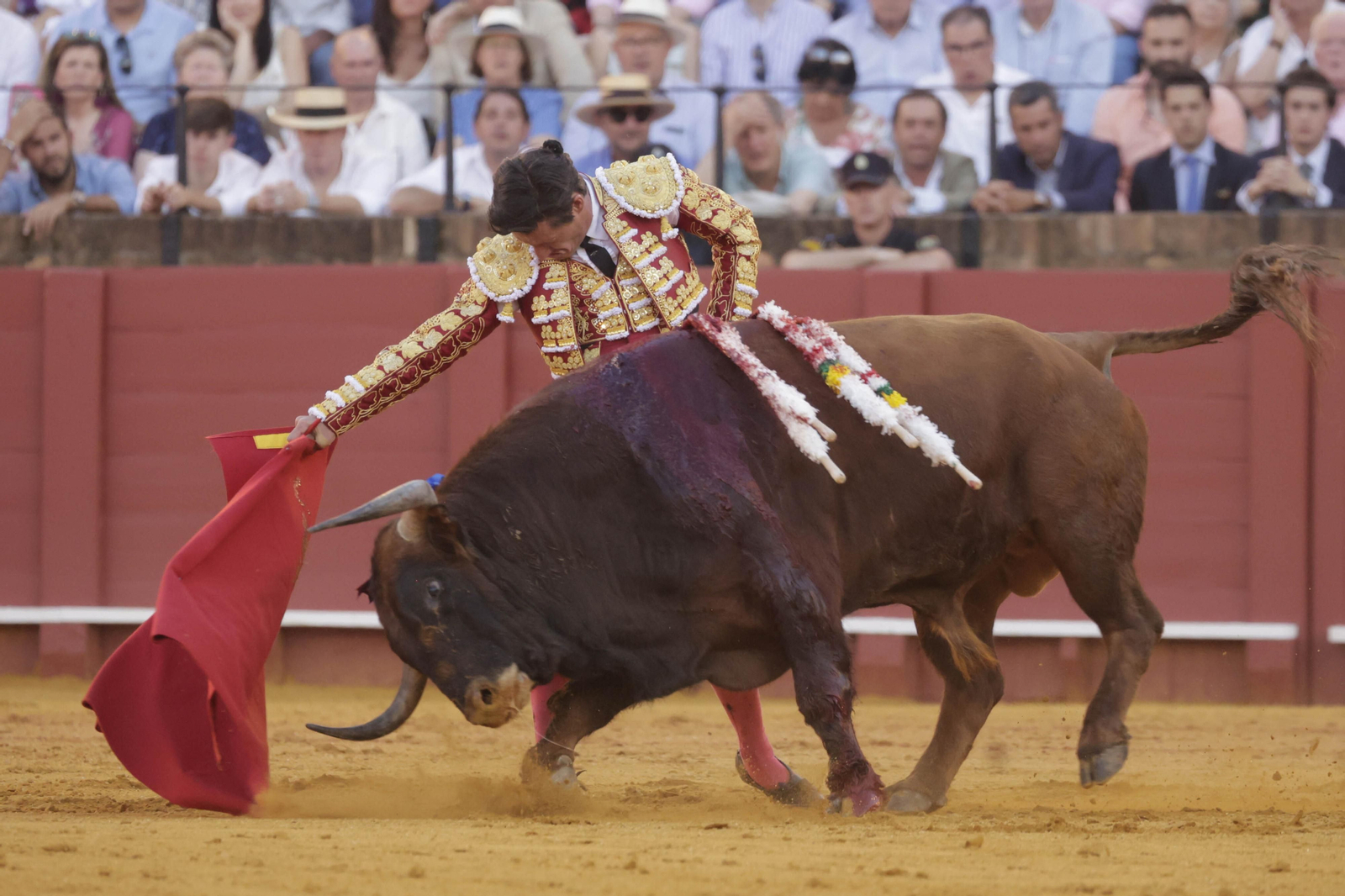 Las imágenes del festejo