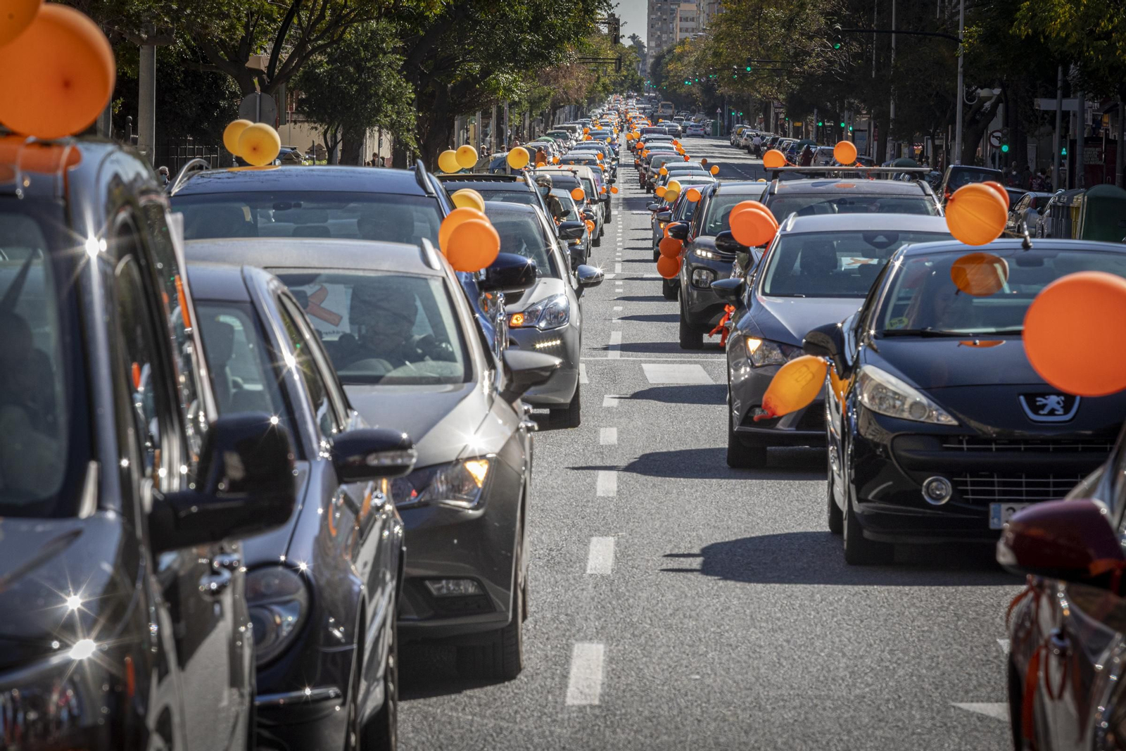 Imágenes de la caravana de coches en Cádiz contra la Ley Celaá
