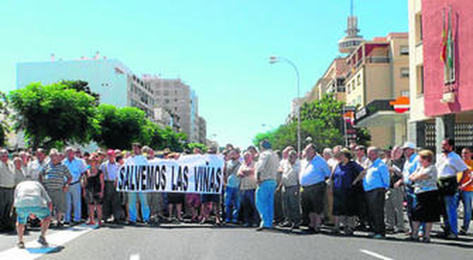 Los viñistas cortaron la Avenida principal de la capital gaditana durante casi una hora.