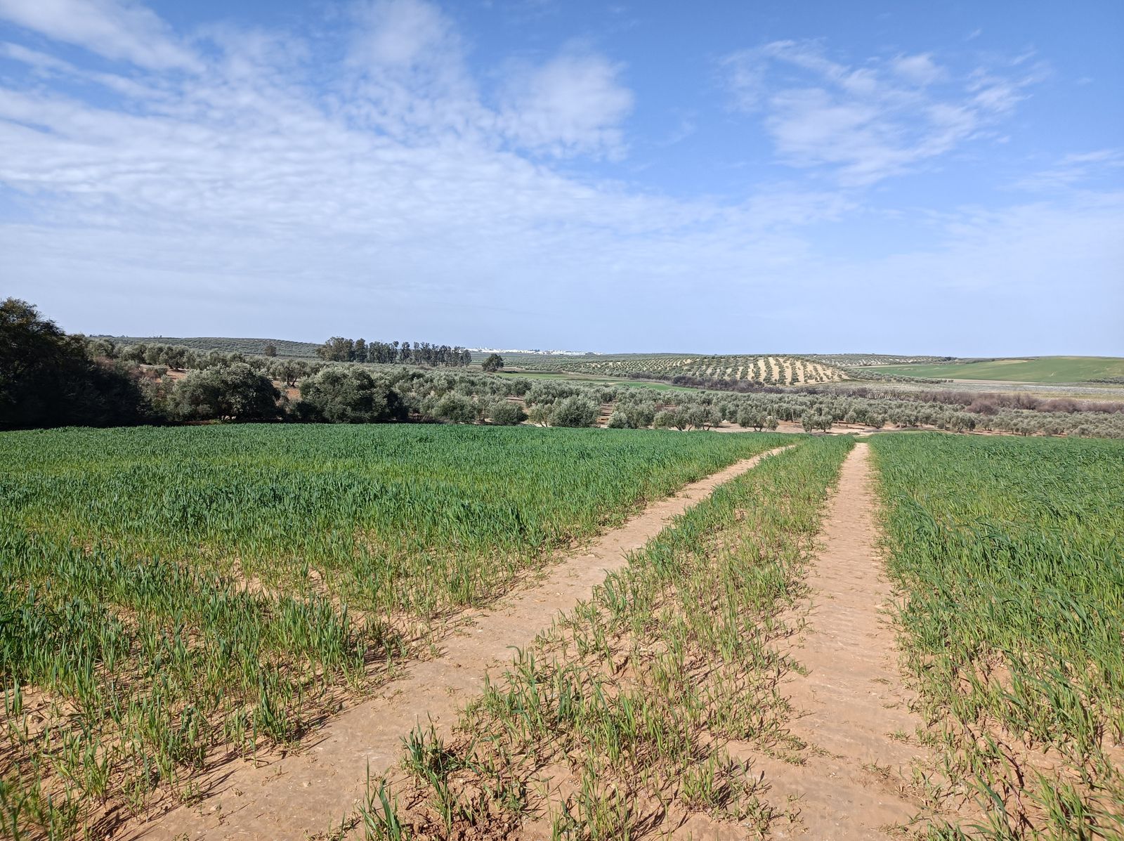Caminos de las Cruces.