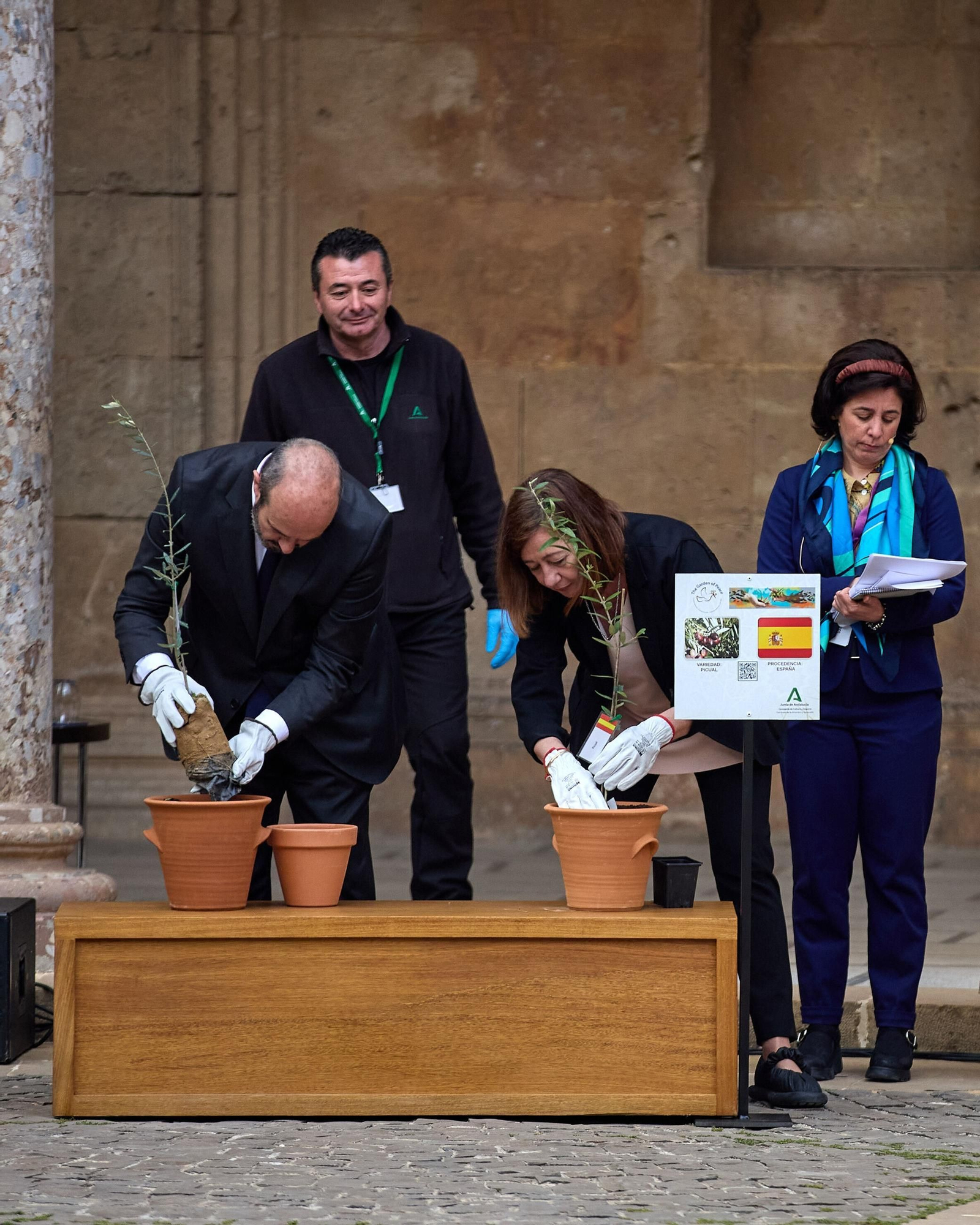 Todas las imágenes de la plantación del jardín de la paz en la Alhambra de Granada
