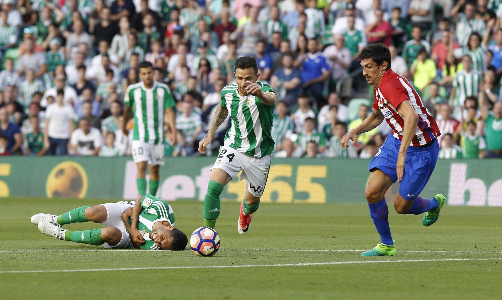 Las imágenes del Betis-Atlético