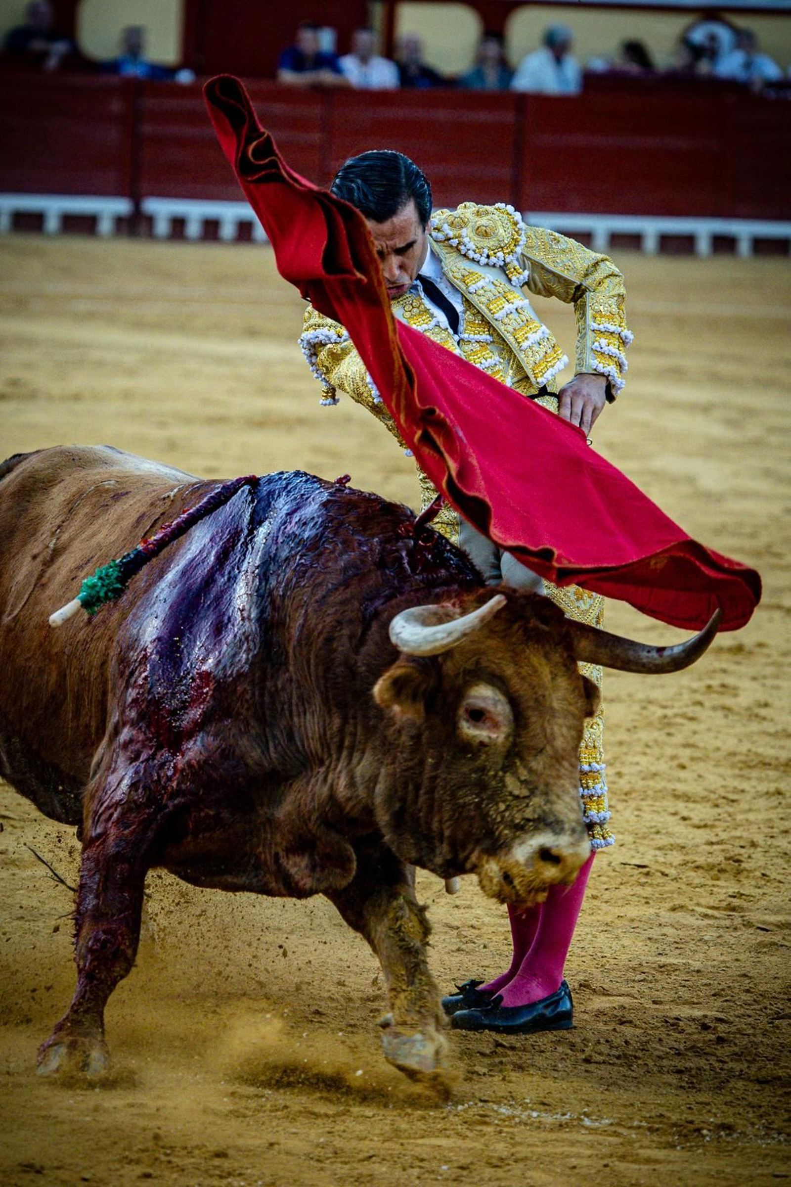 Las imágenes de la corrida de toros en El Puerto: Morante, Talavante y Juan Ortega