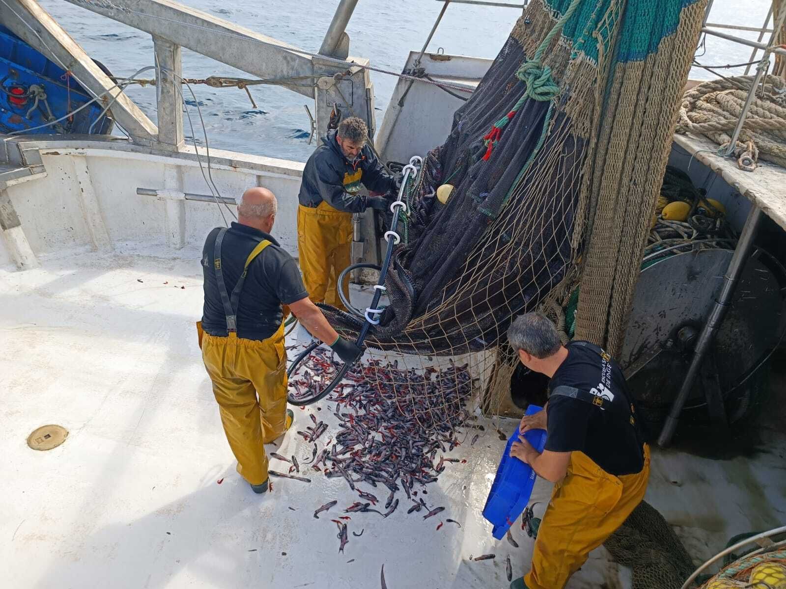 Pesca de la gamba roja de Almería, a bordo del barco 'El Secre'.