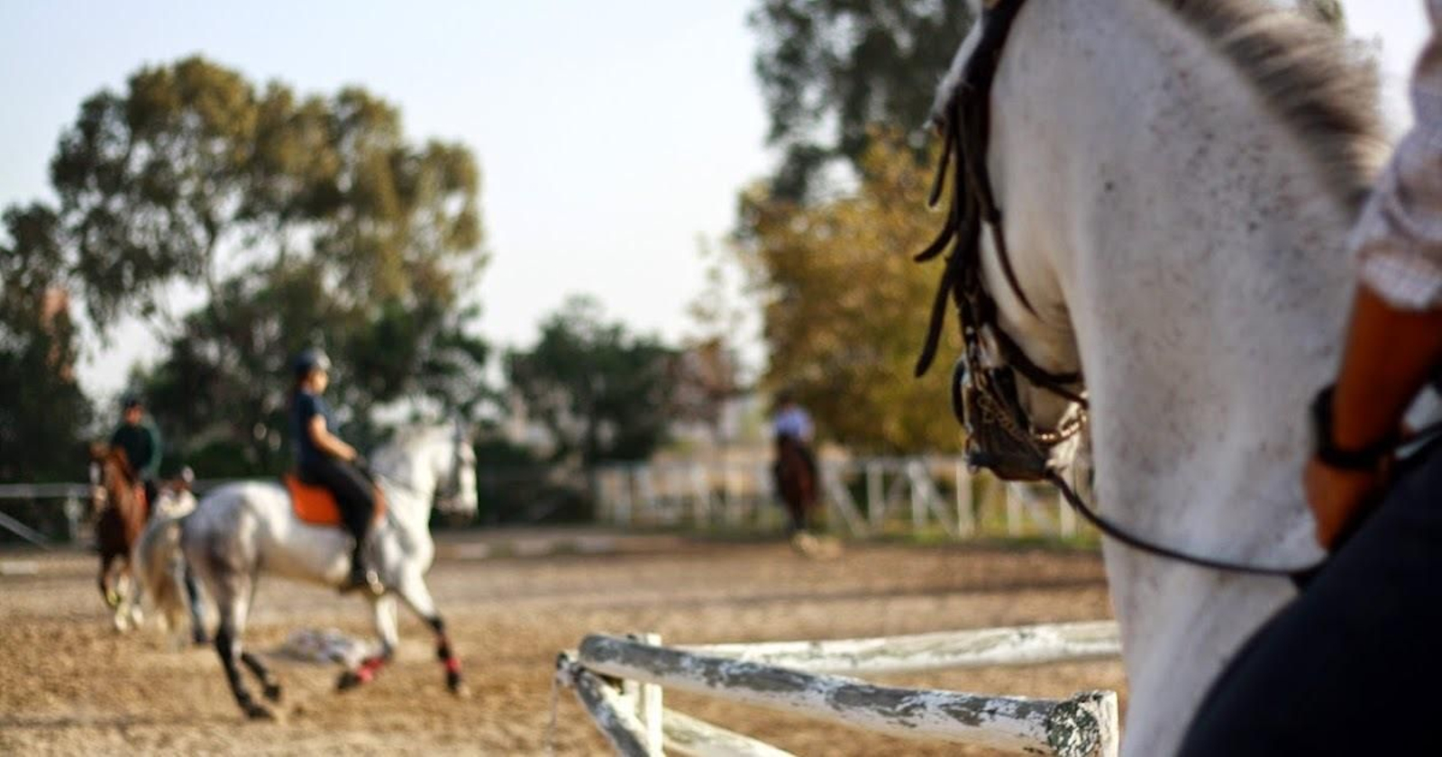 Centro de Equitación Espigares, con sede en Dos Hermanas.