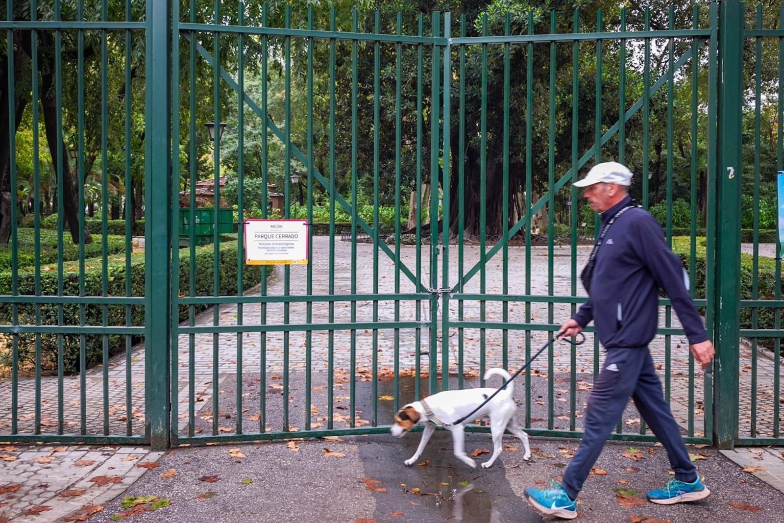 Un hombre pasea a su perro/Archivo