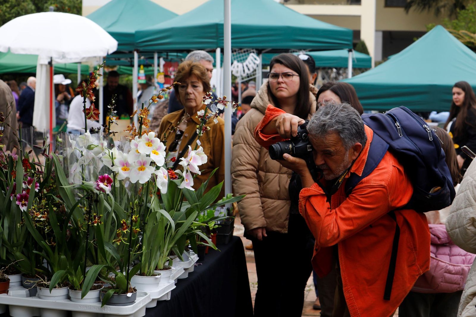 Así es la III Feria de las Orquídeas de Córdoba, en fotografías