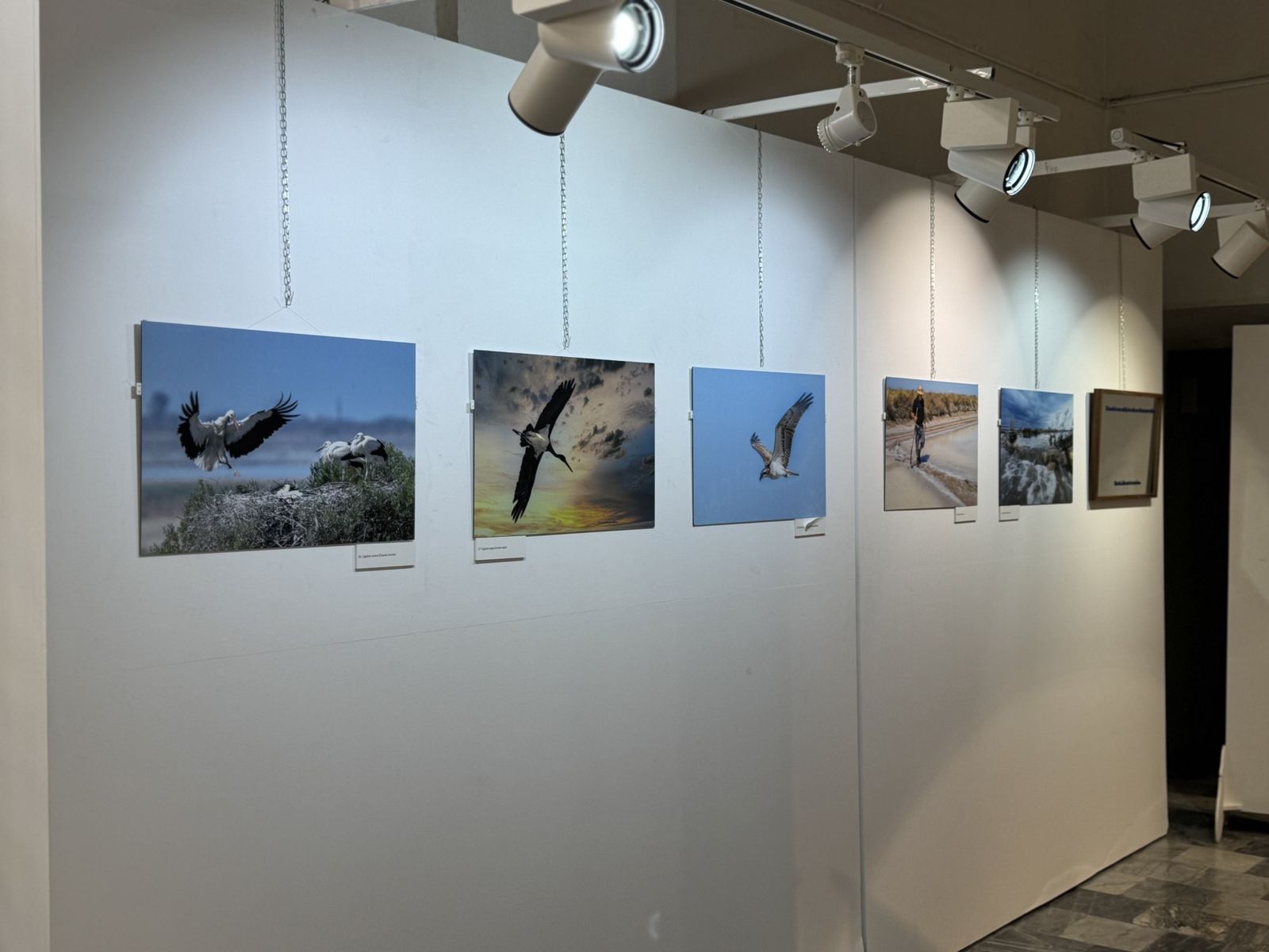 Parte de la exposición Horizonte Salino, en el Centro Cultural San José