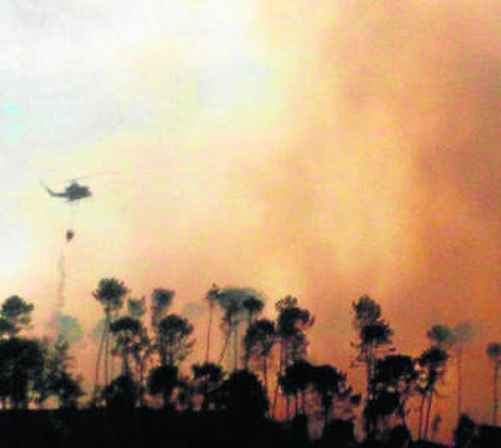 Primer gran susto por un incendio forestal