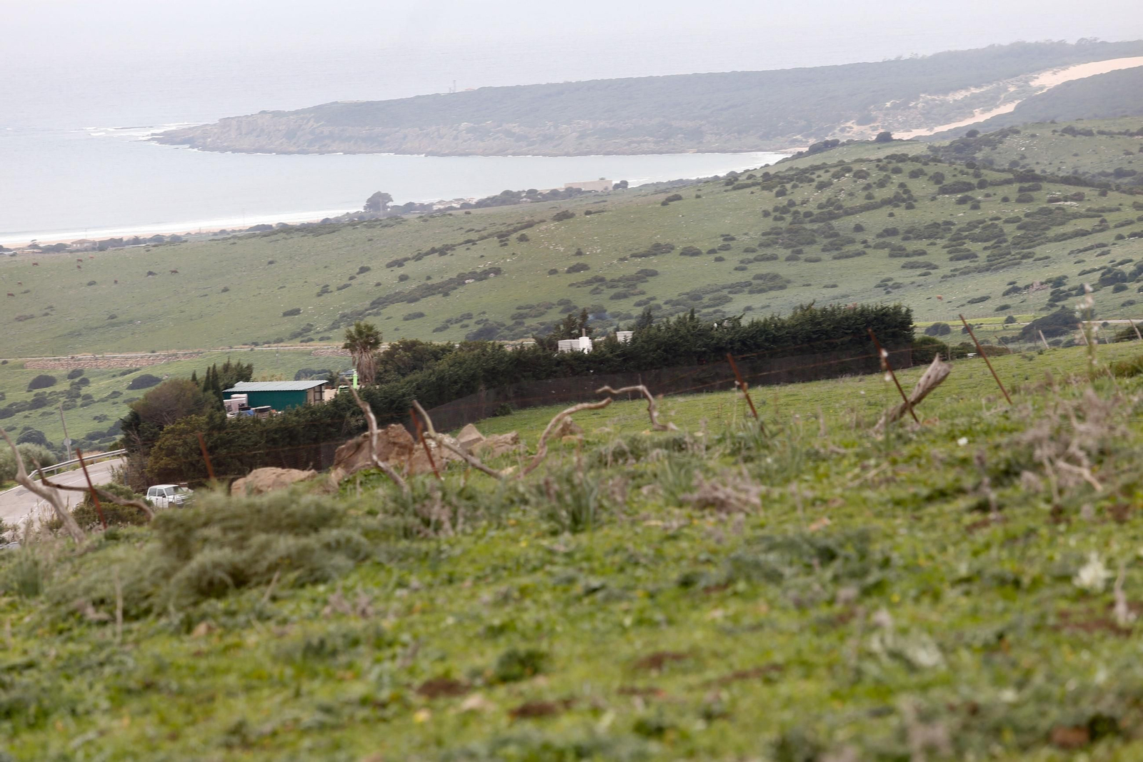 Los terrenos de Bolonia adquiridos por Altanea para un complejo turístico.