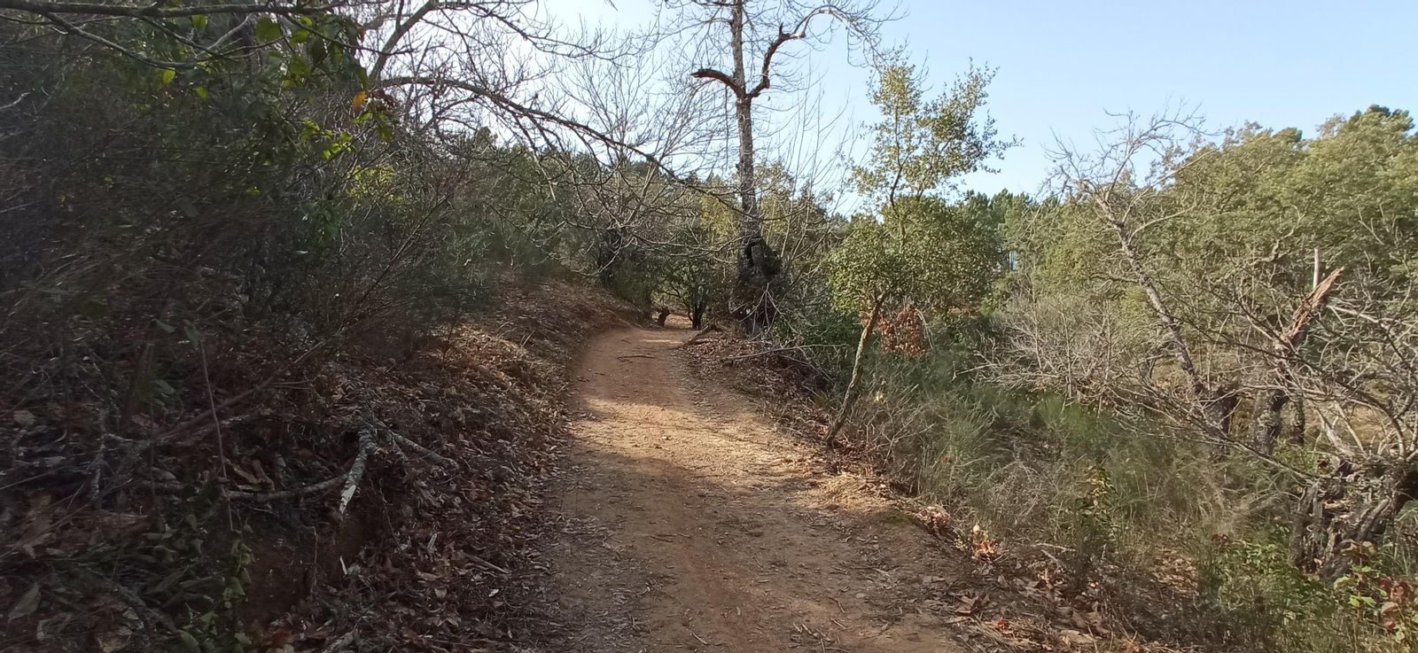 Las imágenes de la ruta de la Dehesa de Valdelama: De Los Marines a Fuenteheridos y vuelta