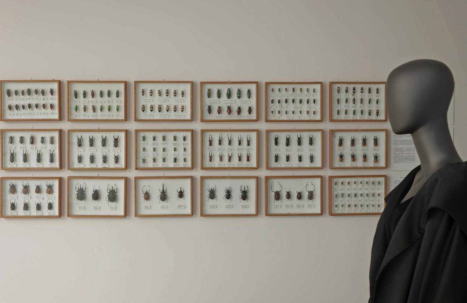 Fotos del Museo Cruz Herrera de La Línea