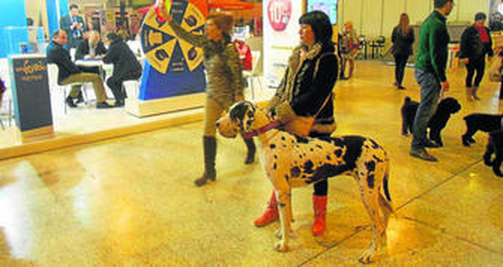 1. Este año los visitantes podrán llevar sus perros cumpliendo los requisitos  que se detallan en la web de la feria 2. El pabellón 2 será escenario de la  XXII Exposición Nacional Canina y la XL Exposición Internacional Canina.