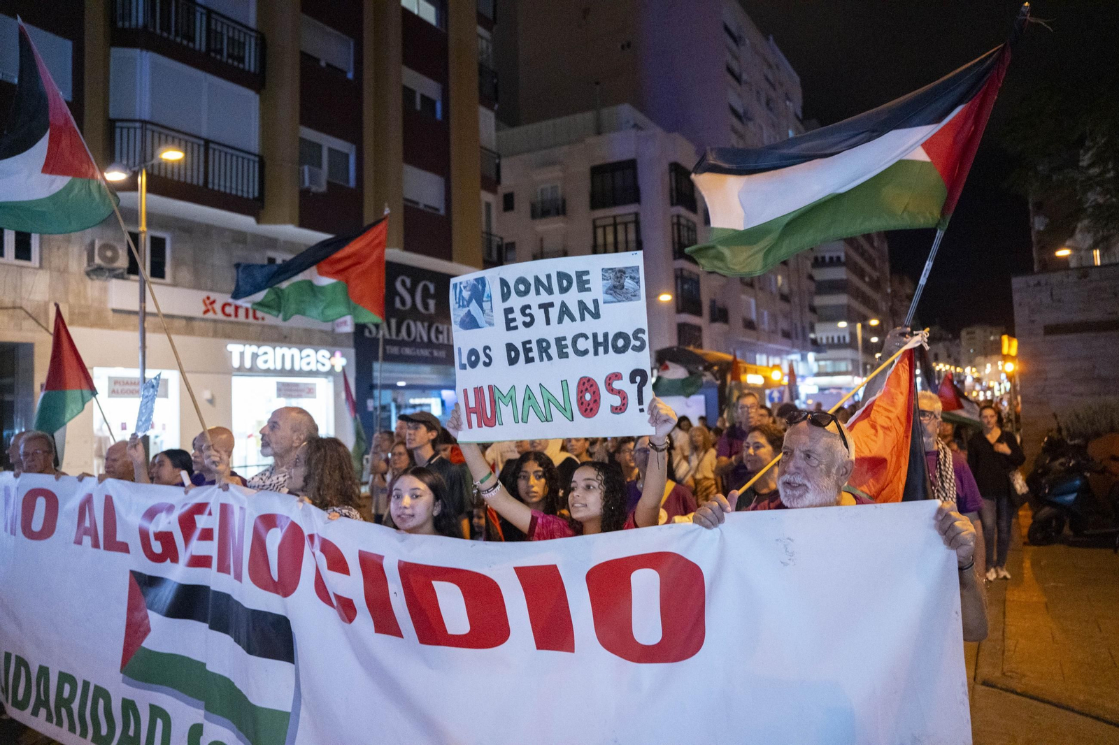 La Plataforma Almería por Palestina se manifiesta por la situación en Gaza, en imágenes