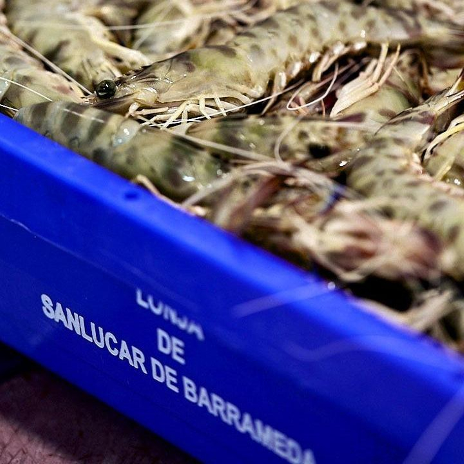 Caja de langostino de Sanlúcar en la lonja de la ciudad.
