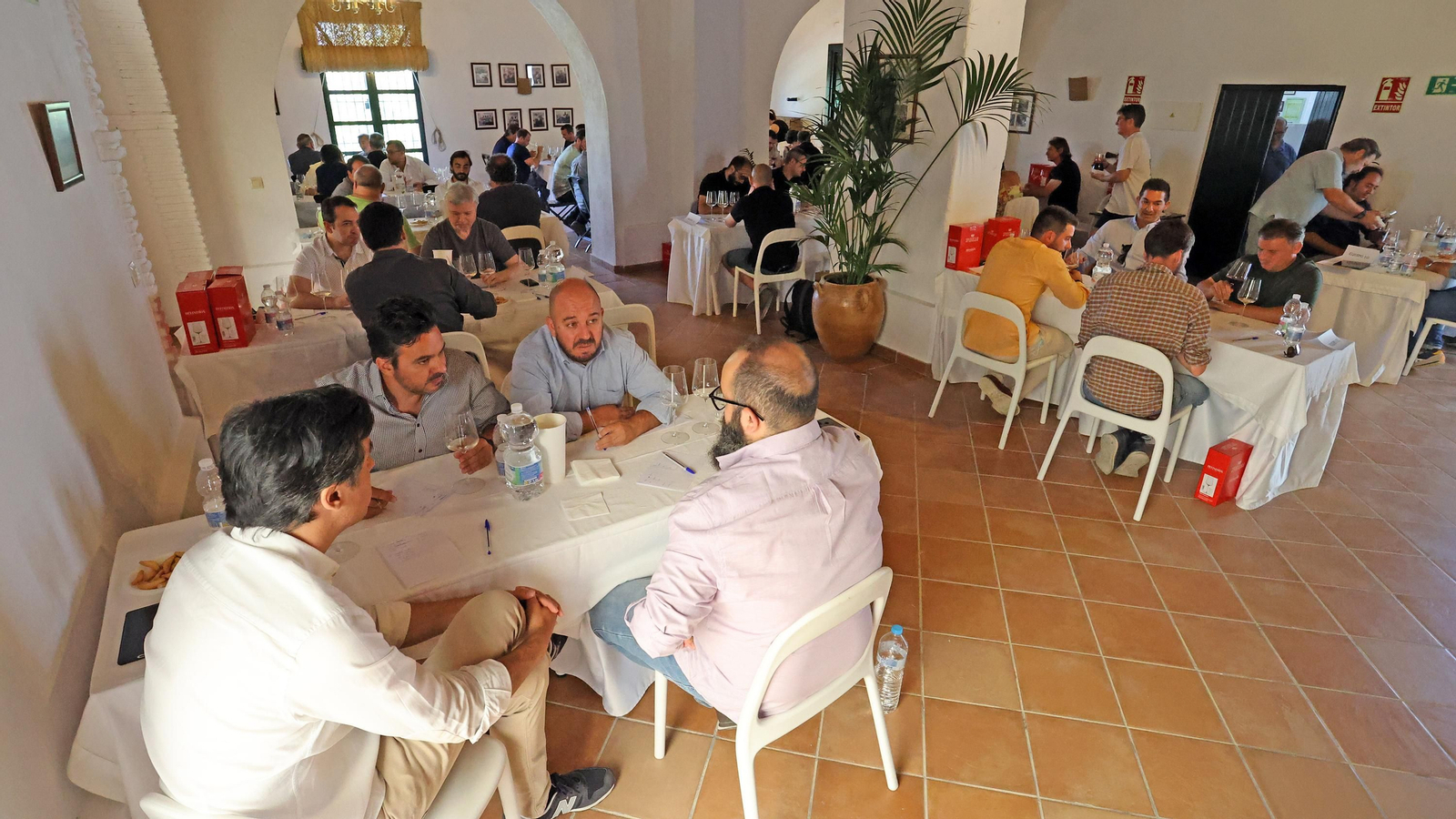Campeonato de España de catas a ciegas por equipos en Jerez