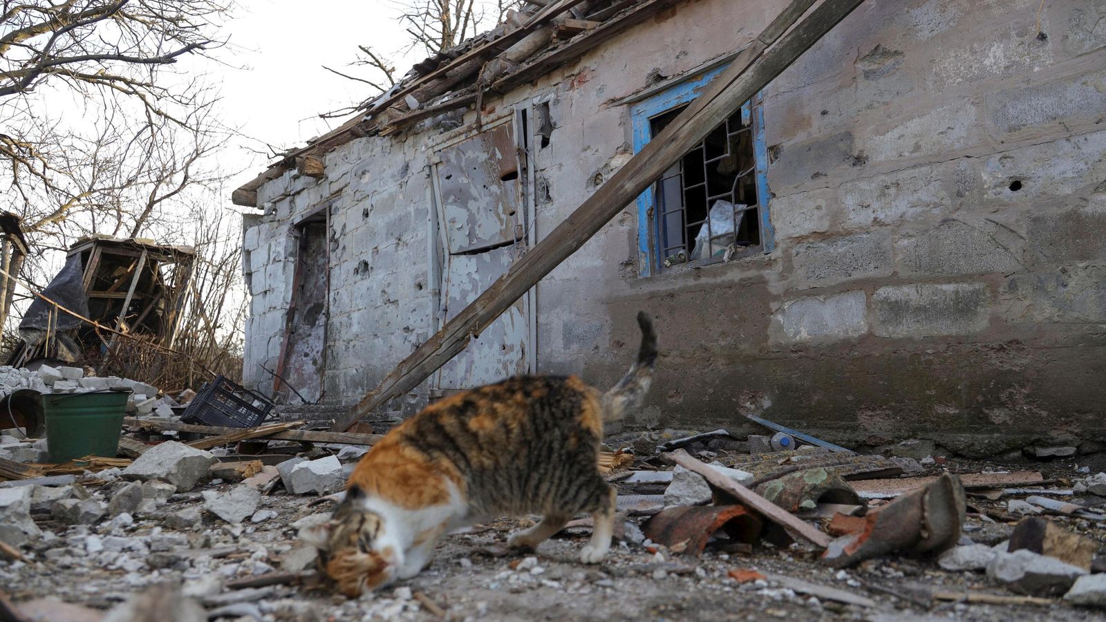 Un gato juega en las ruinas de una casa cerca de Donetsk.
