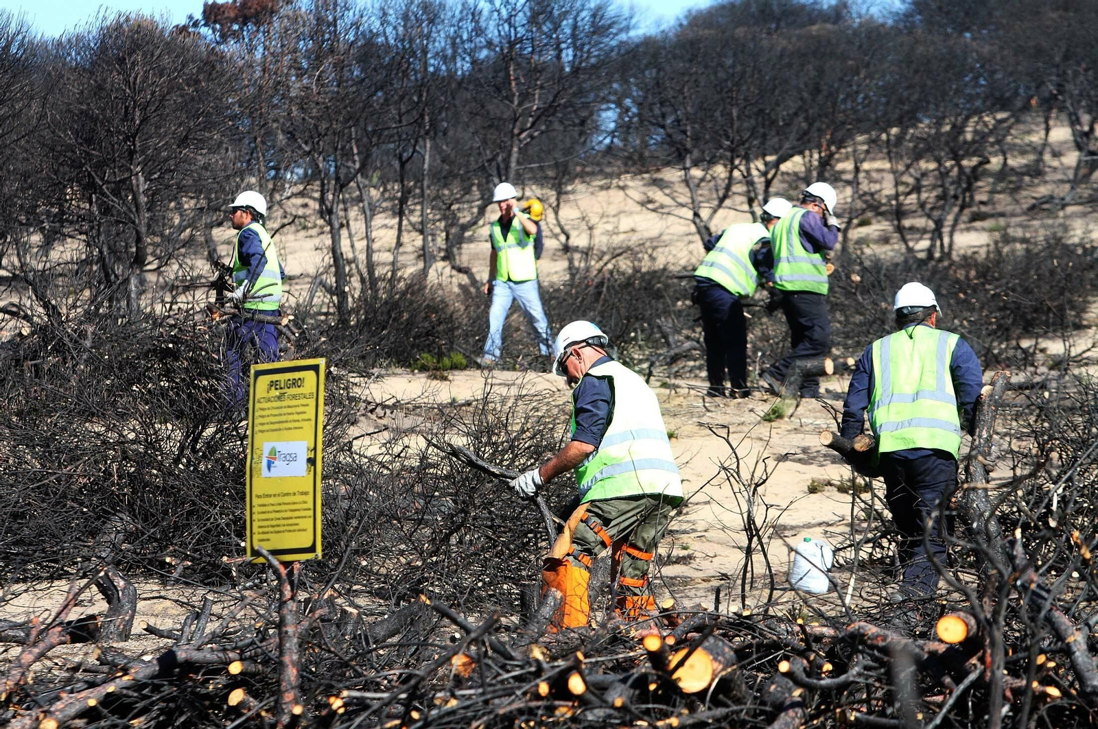 Trabajos de limpieza en la zona calcinada por el incendio de Las Peñuelas---.