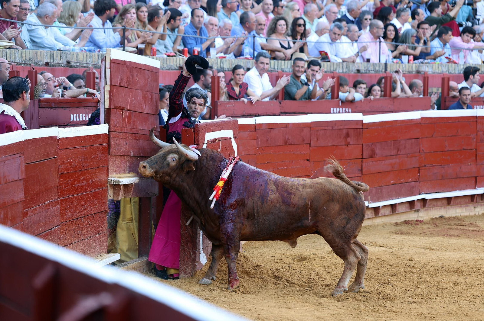 Toros La Merced 2025: Imágenes de la corrida de David de Miranda, Marco Pérez y Borja Jiménez