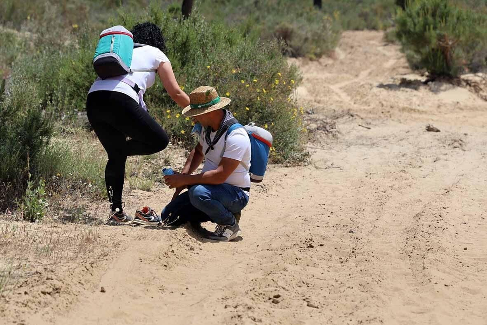 Las mejores imágenes de la Hermandad del Rocío de Huelva en el camino hacia El Rocío