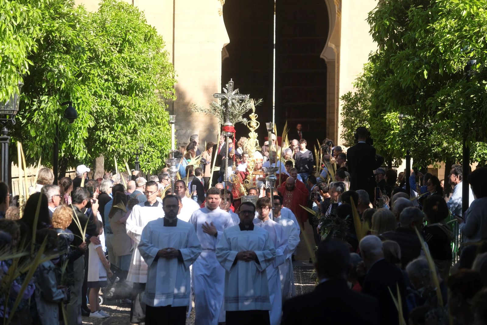 Domingo de Ramos en Córdoba 2023: la misa de la bendición de las palmas en la Catedral, en imágenes