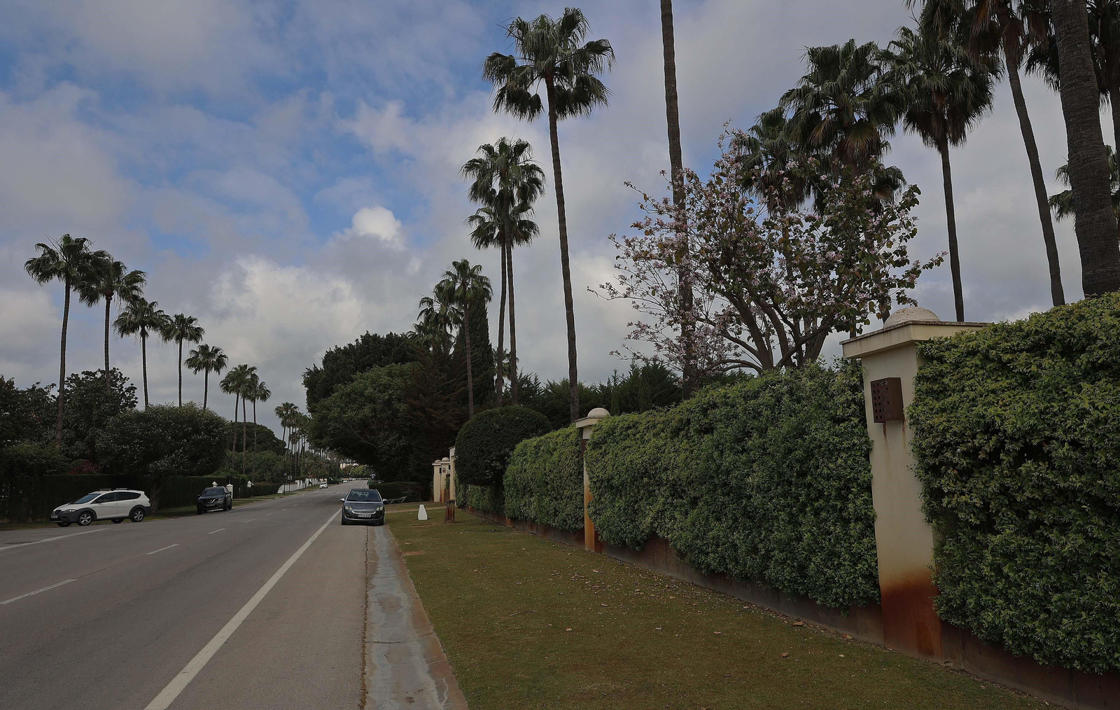 Una calle de Sotogrande.