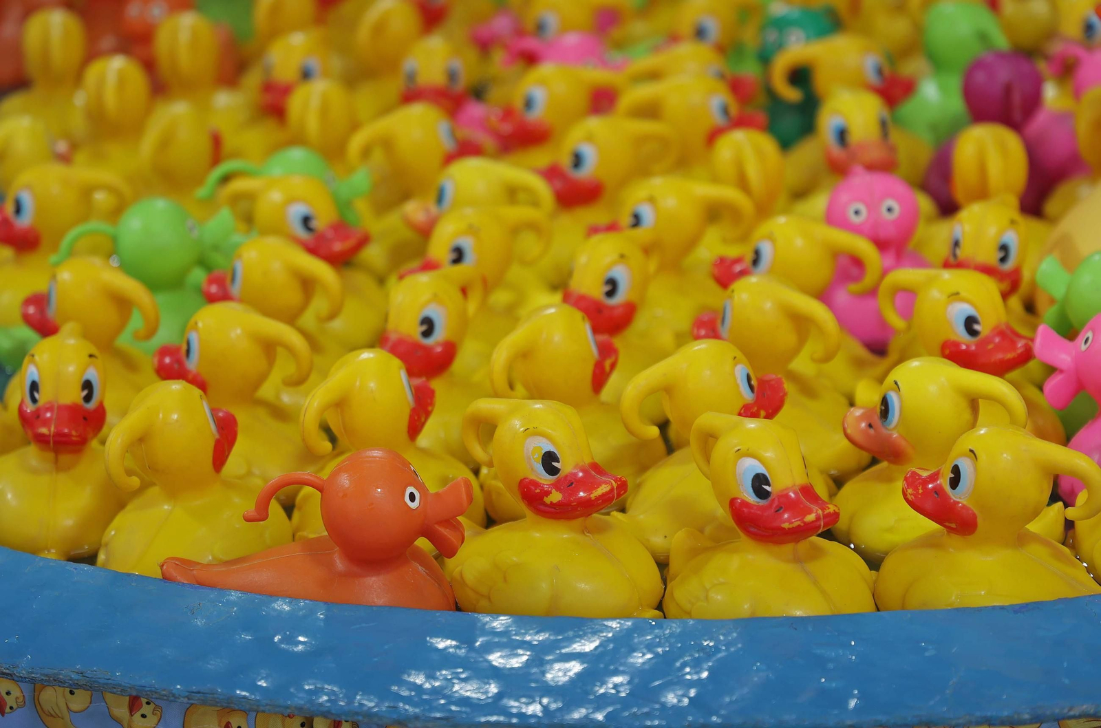 Fotos del Día del Niño en la Feria de Algeciras 2025