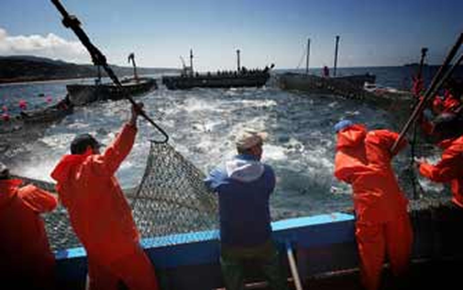 Los almadraberos, "intranquilos" al no poder fijar una fecha de incorporación