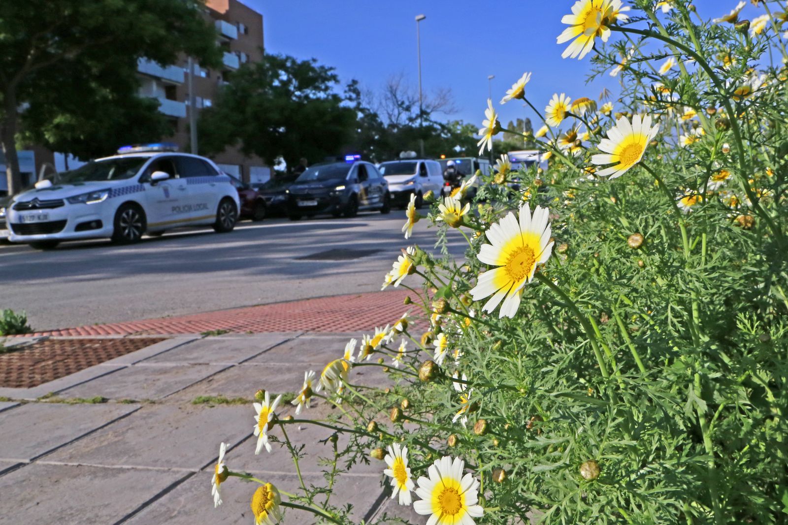 Coronavirus Jerez, imágenes del 26 de abril en Jerez