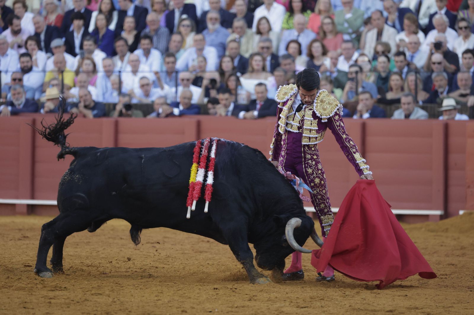 Las imágenes del festejo