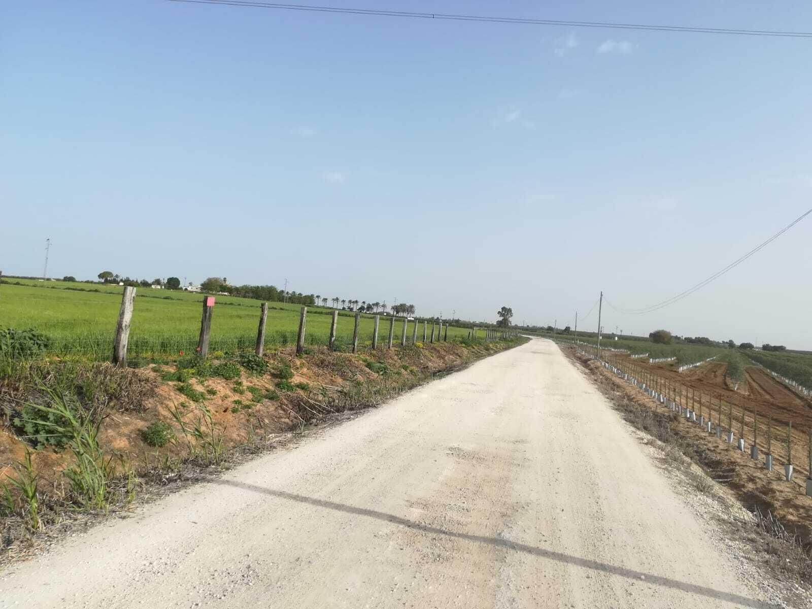 Fotos de la ruta Umbrete-Ermita de Cuatrovitas