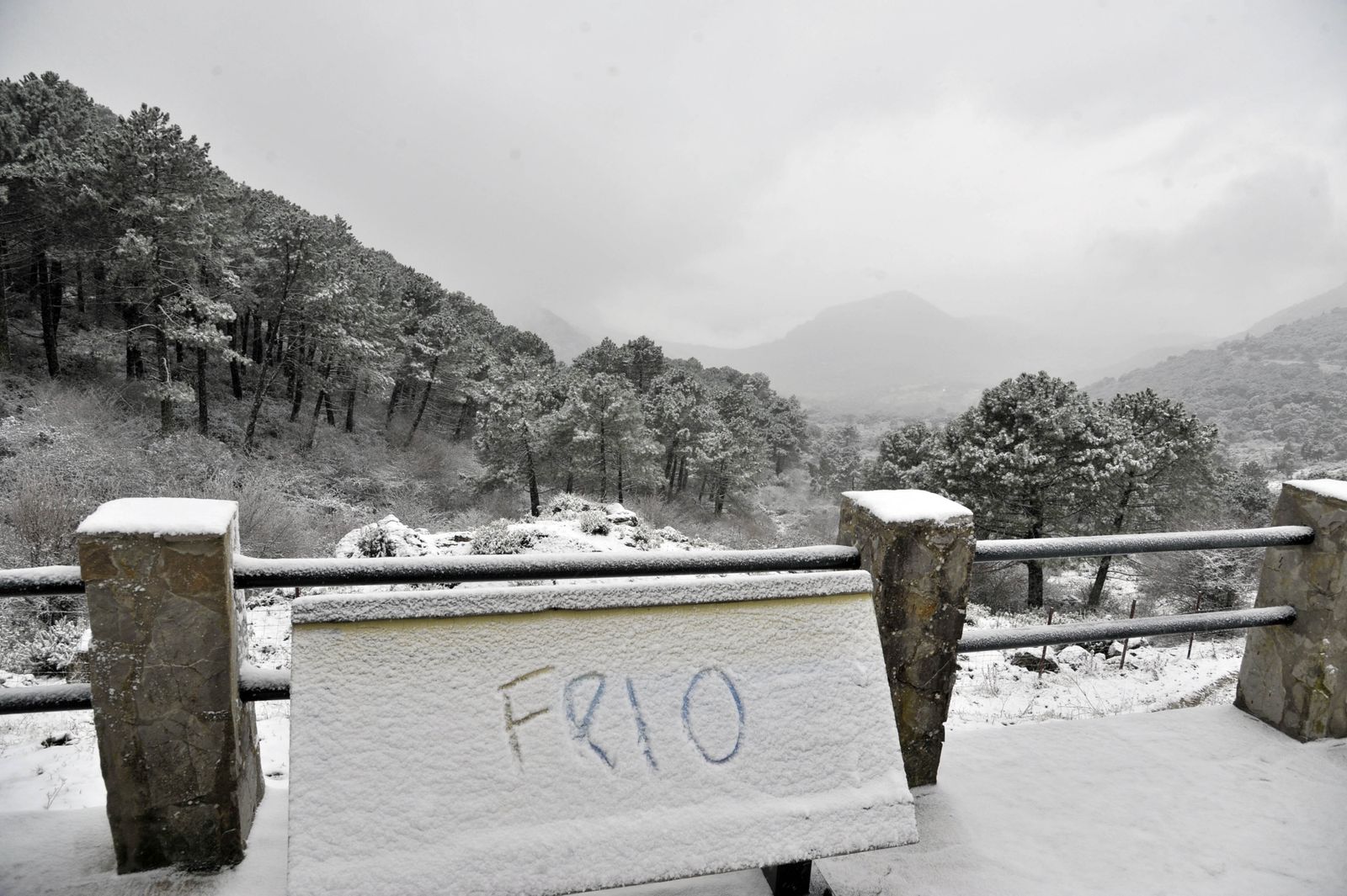 Nieve en la Sierra de Cádiz
